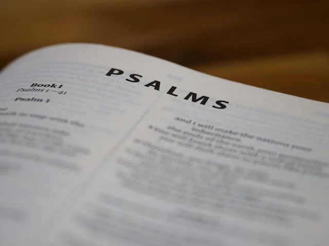 JANJI TUHAN | Mazmur 25 : 8 – 11