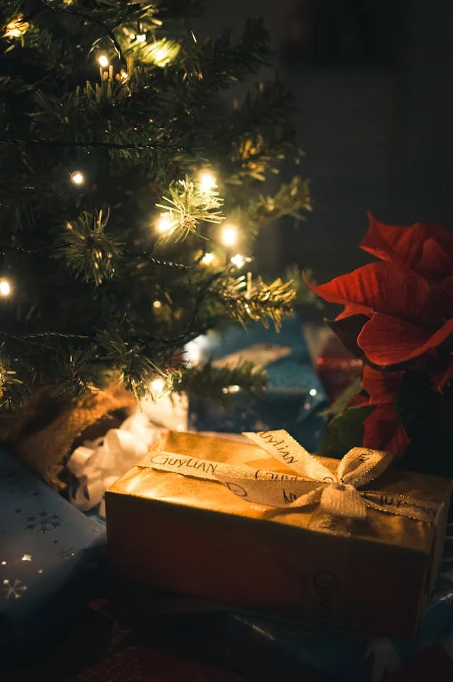 Melihat Natal Dengan Iman | Lukas 1: 37-38