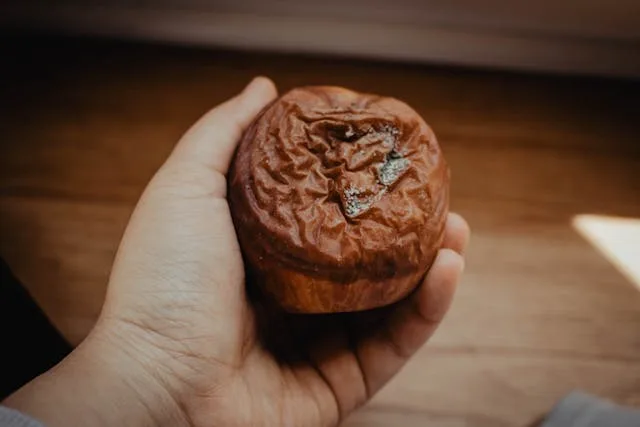 PENYAKIT HATI : SUKA MENUDUH | Daniel 3:8-12