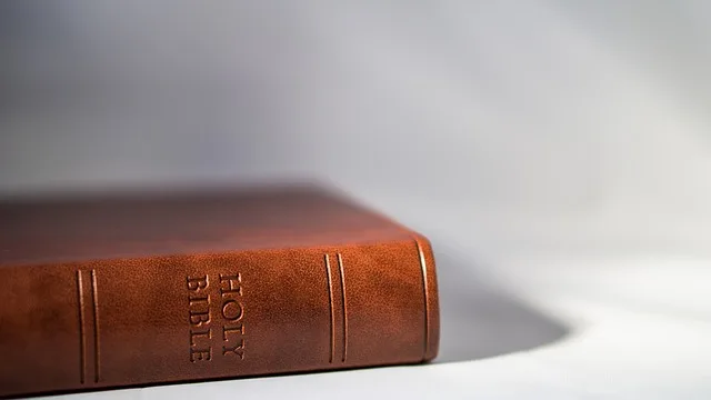 PILIH MANA, ORANG BIJAK ATAU ORANG FASIK? | AMSAL 9:7-9