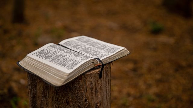 DIDIKLAH MEREKA DI DALAM AJARAN DAN NASIHAT TUHAN | EFESUS 6: 1-9 | Pdt. Meifira Tanor, M.Th